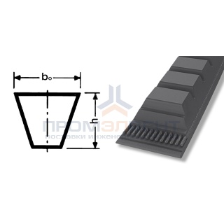ремень xpa 1007