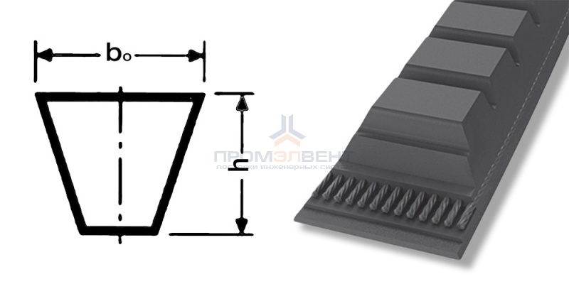 ремень xpa 1650